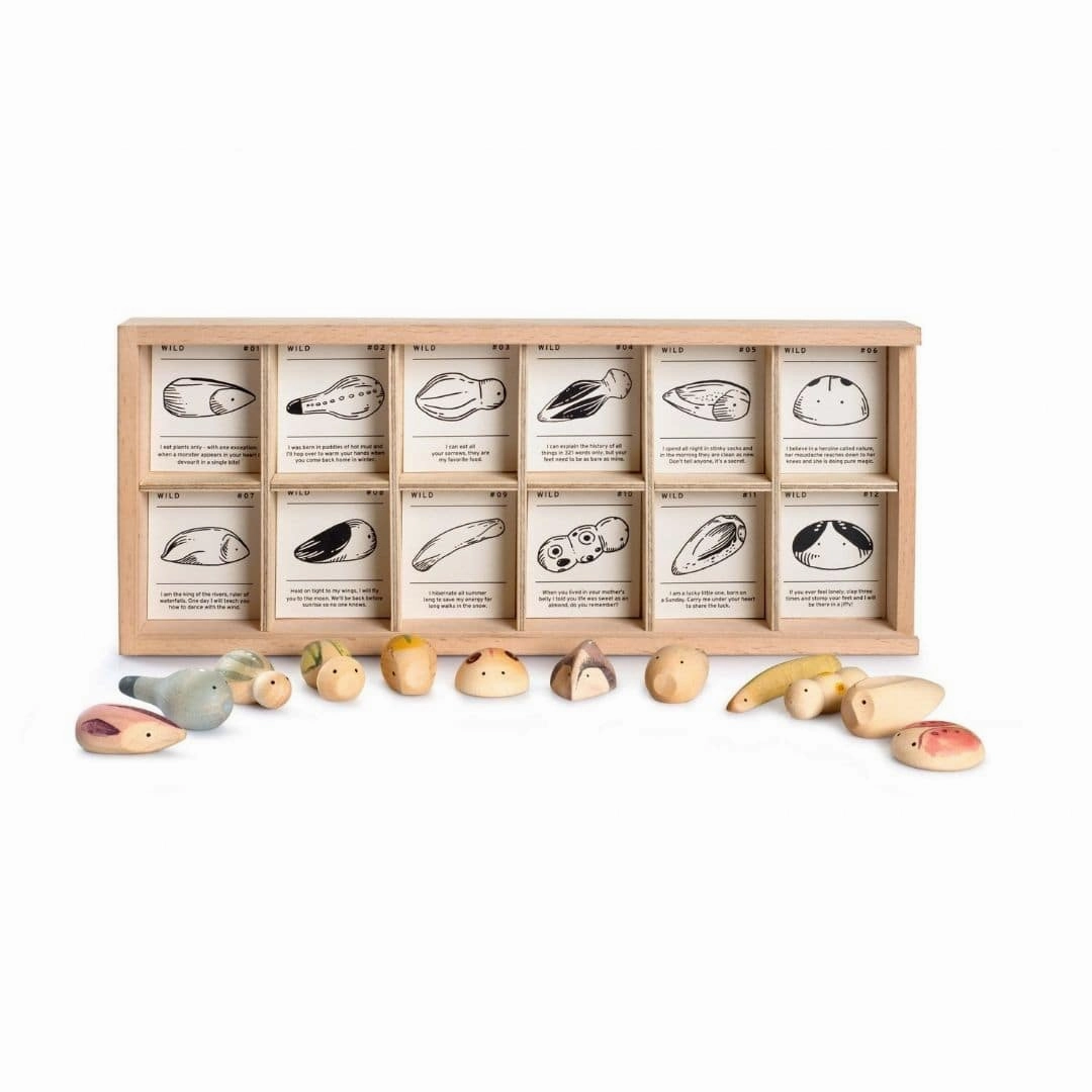 Wild: Exploration Play Set And Sorting Tray Playful learning Young learners