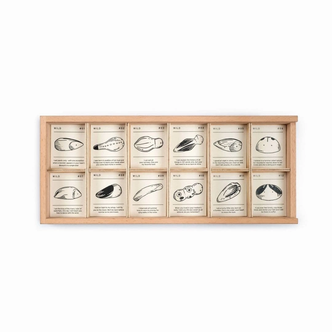 Wild: Exploration Play Set And Sorting Tray Early discovery