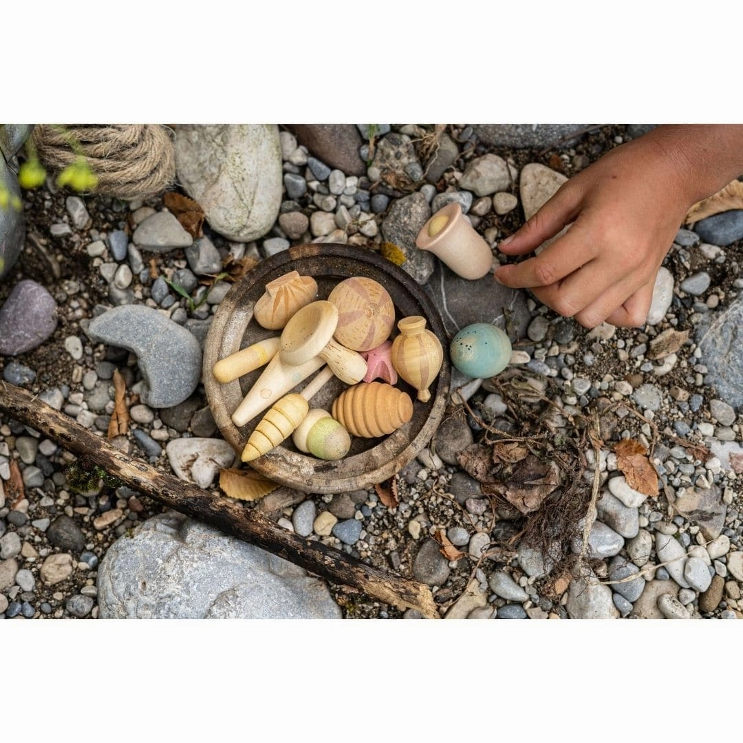 Wonders: A Collection Of 12 Wooden Plant-Inspired Play Pieces First explorers Nurturing minds