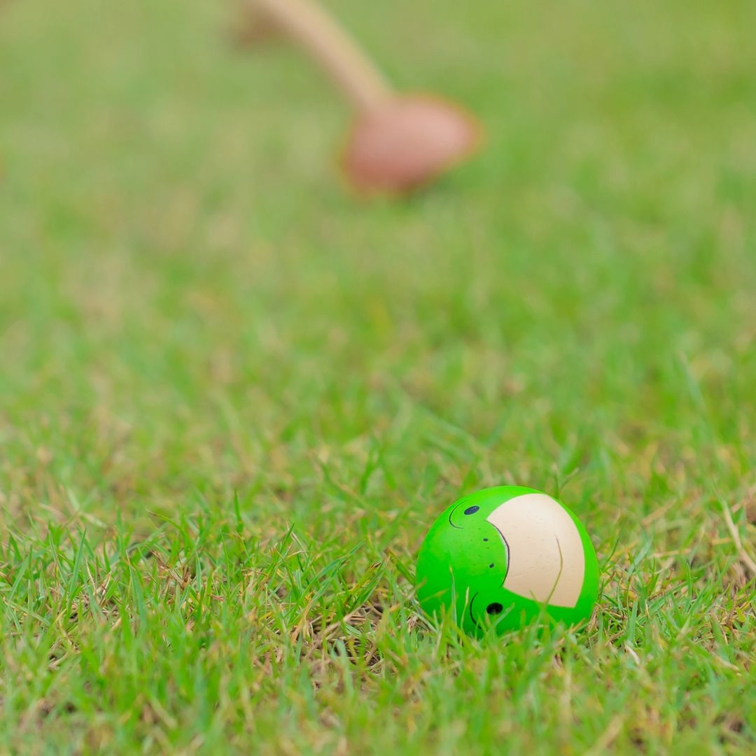 Imaginative play Creative time for curious minds Wooden Croquet Set