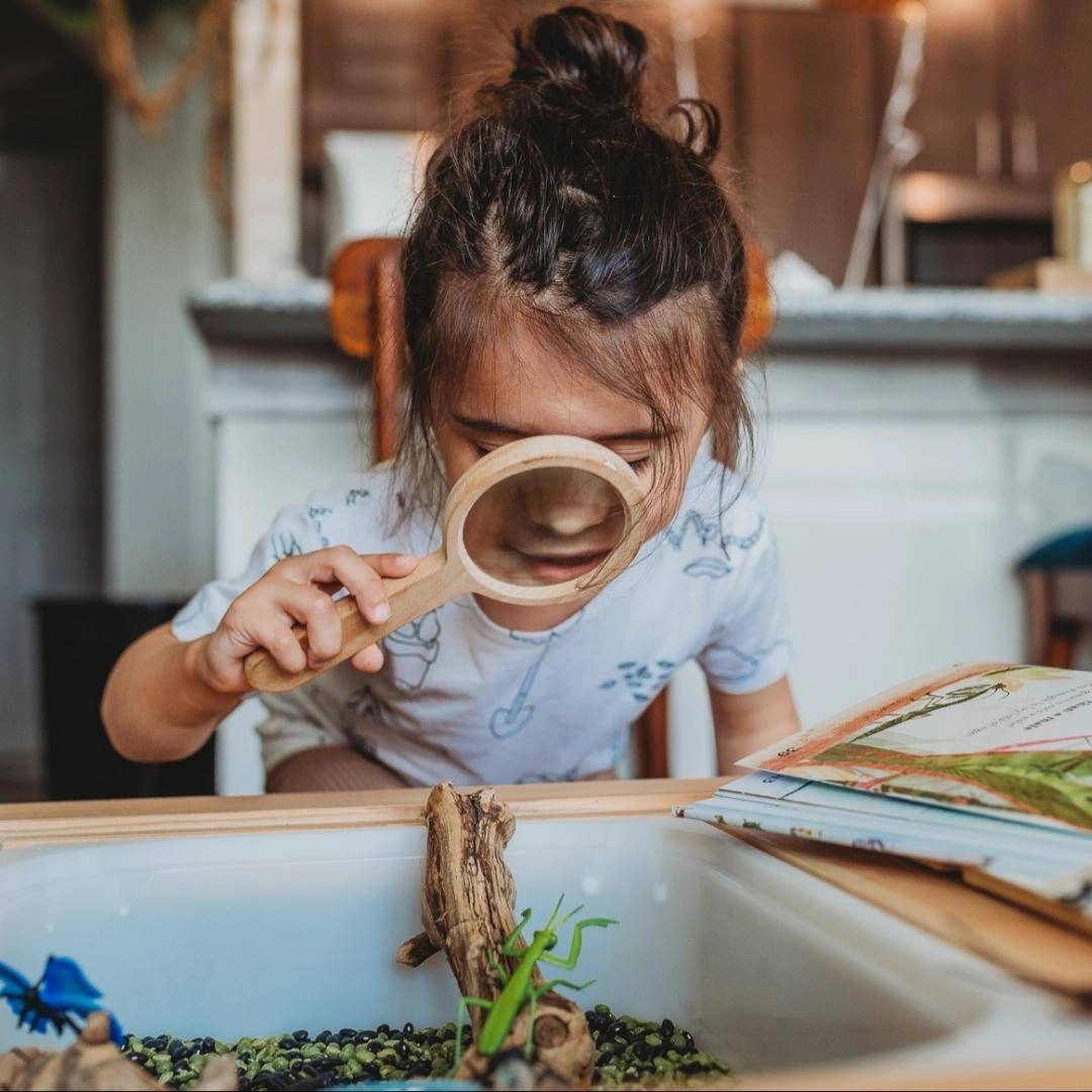 Wooden Magnifying Glass Curiosity starters