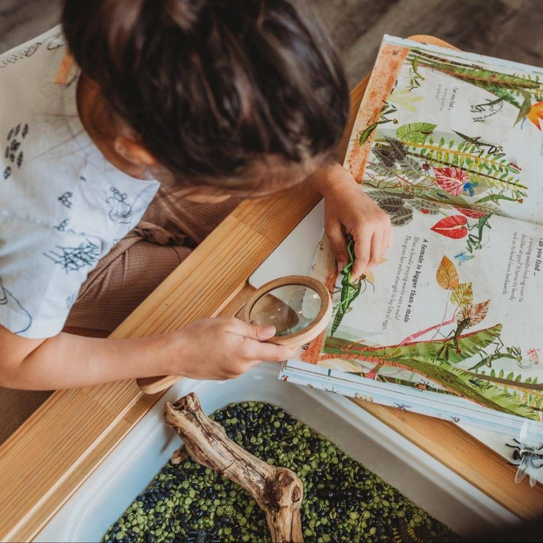 Wooden Magnifying Glass Discover & grow Kid-focused experiences