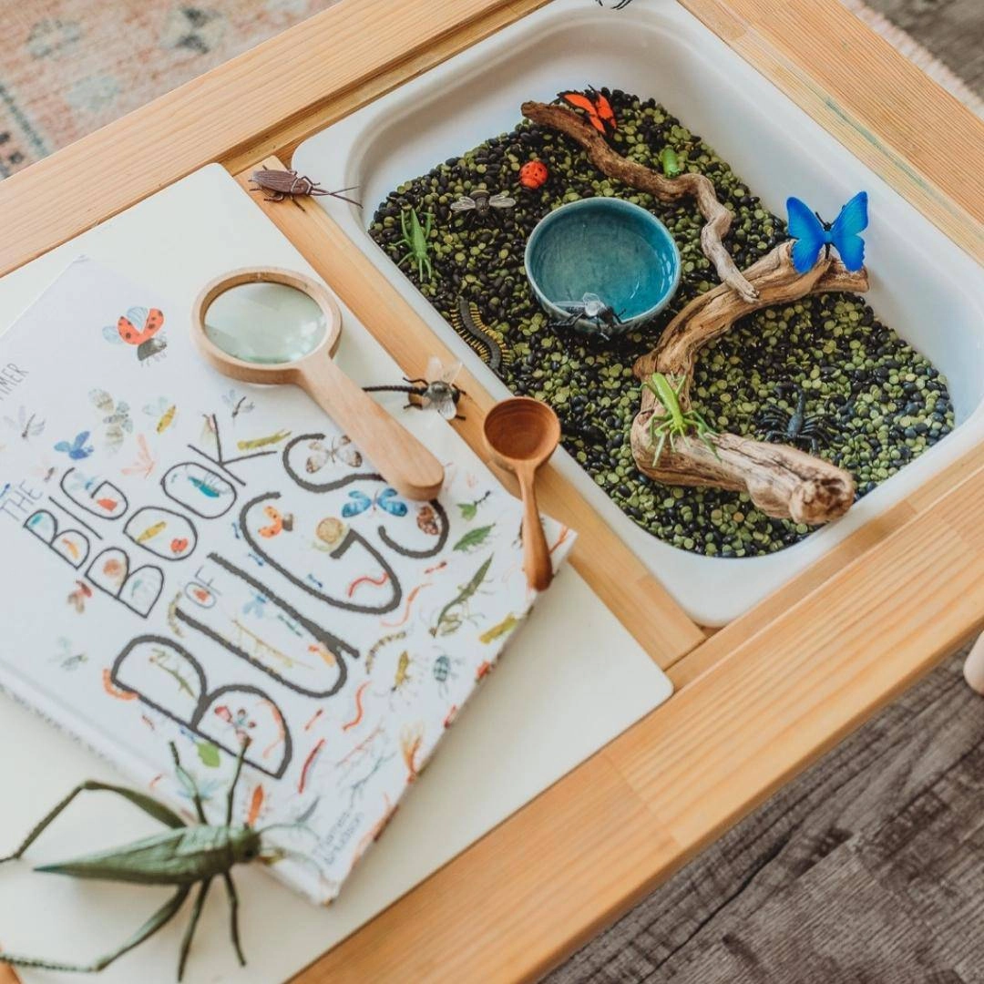 Wooden Magnifying Glass Exploration gear