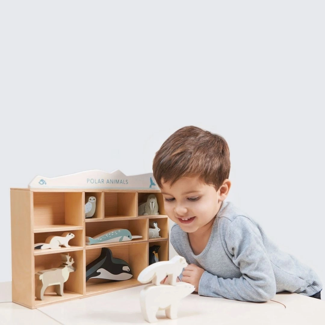 Skill-building tools Wooden Polar Animal Figures And Display Case
