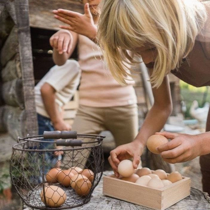 Learning tools Wooden Storage Box