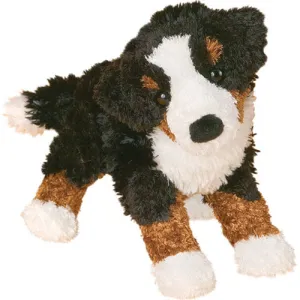 Miranda Bernese Mountain Dog Early discovery
