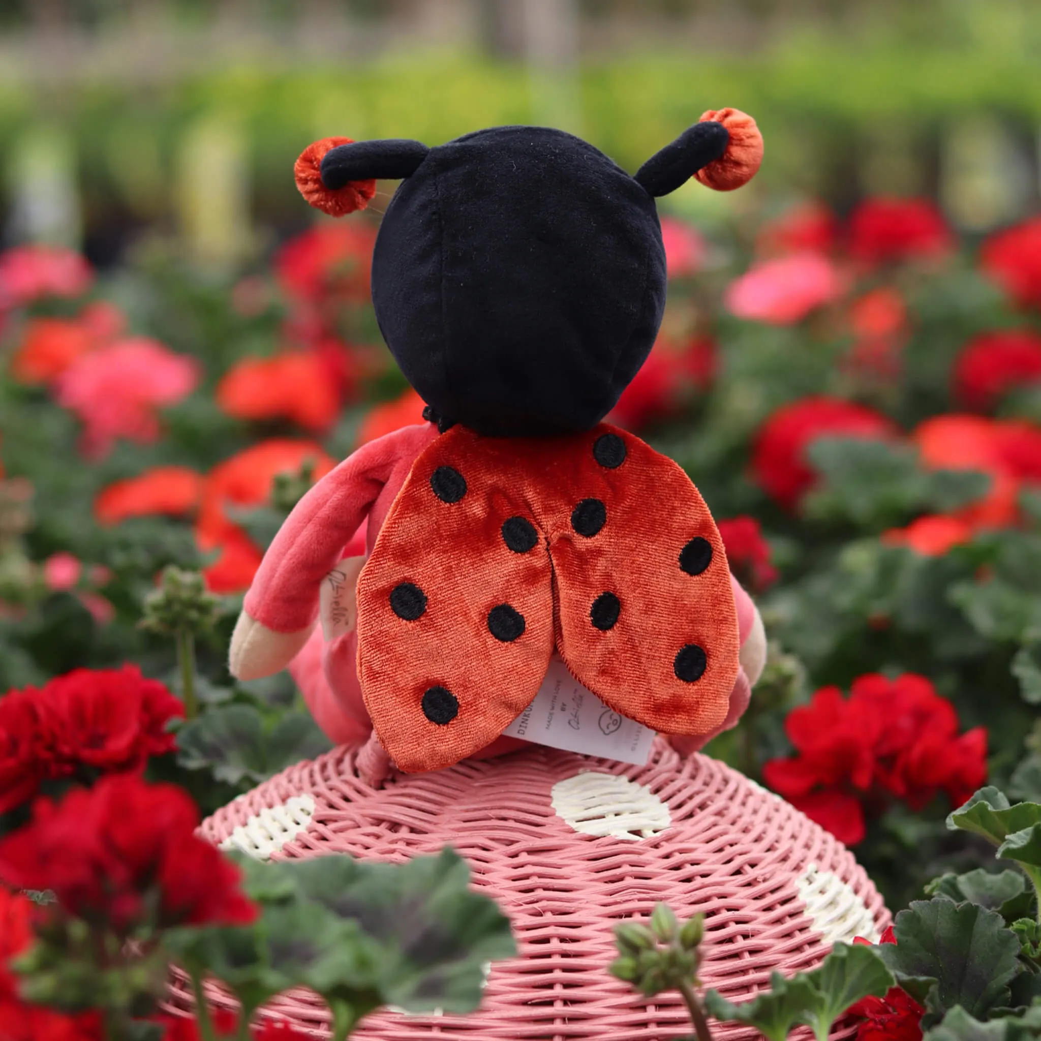 Dinky Dinkums Backyard Buddies - Lola Ladybug Thoughtful learning Smart kids gear
