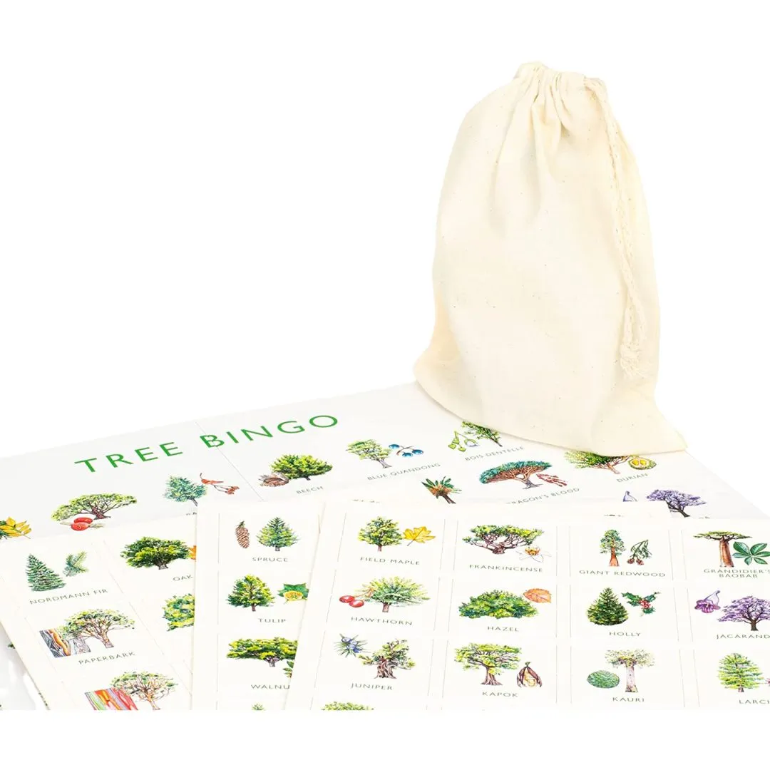Creative kids Play-based education Tree Bingo Game