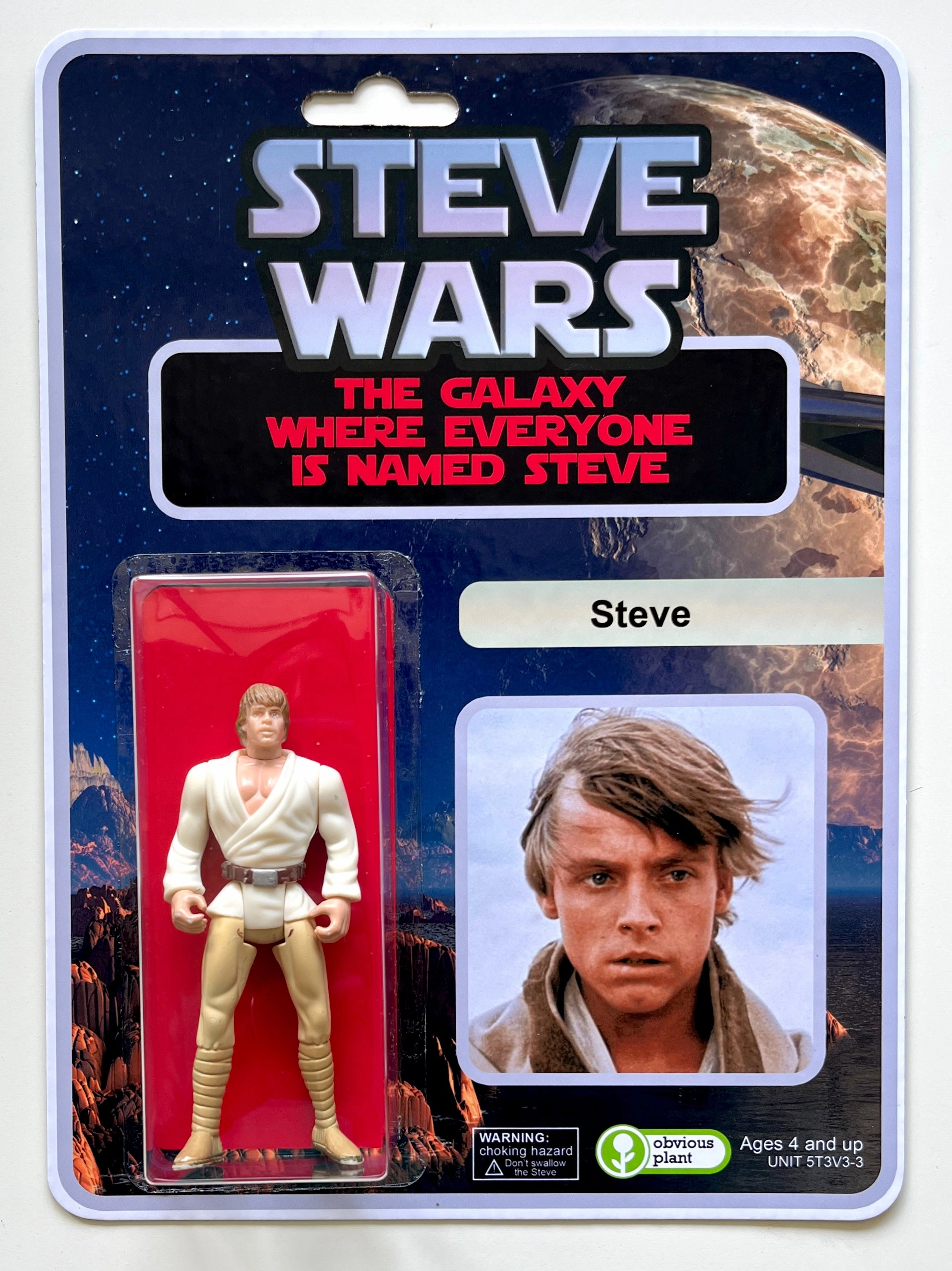 Steve Wars Joyful learning Brain boosters
