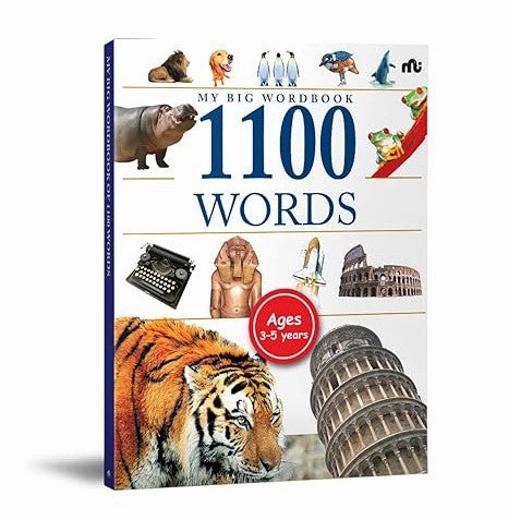 Learning tools Learning fun My Big Wordbook 1100 Words Moonstone And Rupa Publications India