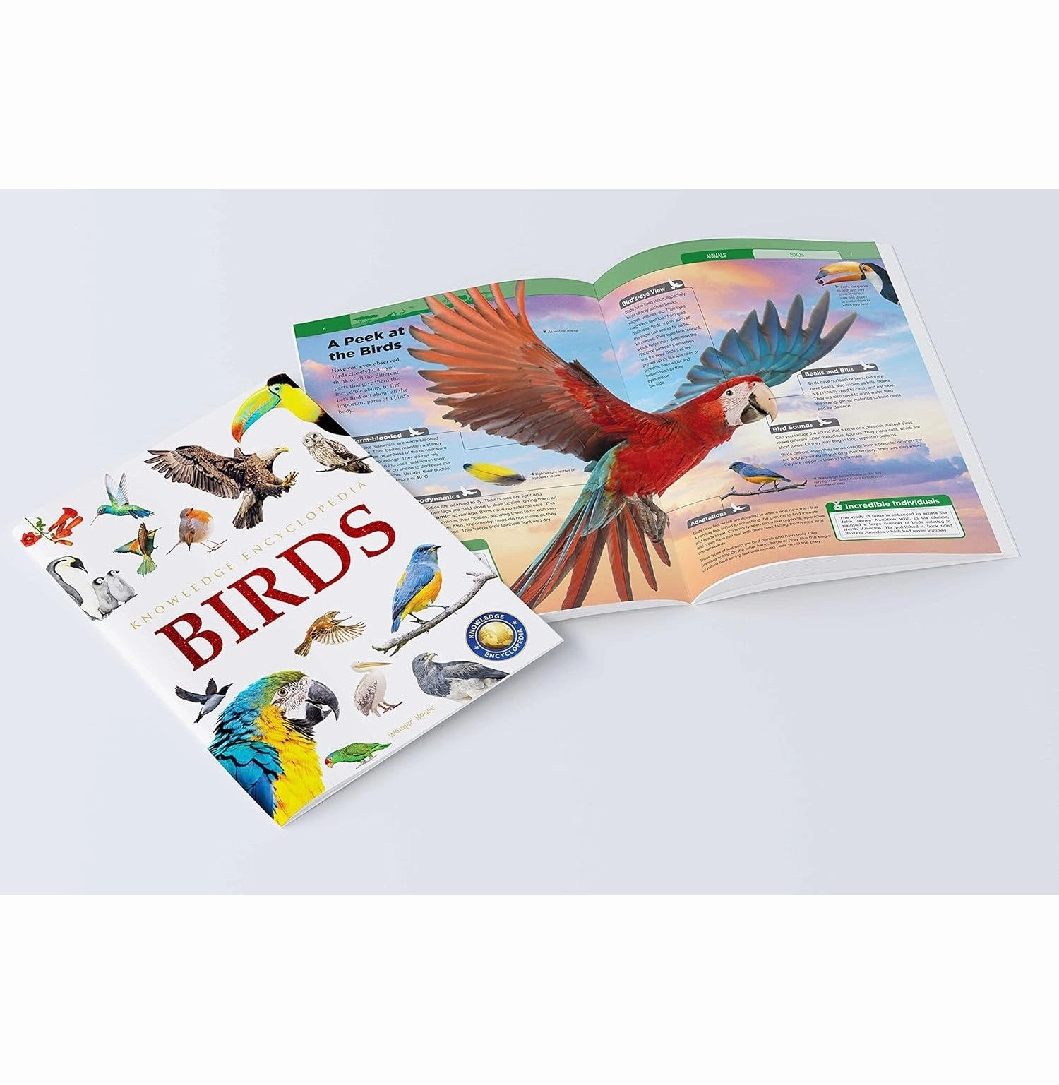 Growing minds Holistic Knowledge Encyclopedia Birds