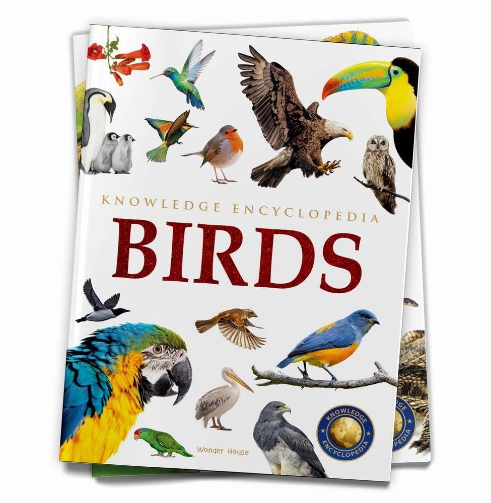 Little creators Knowledge Encyclopedia Birds