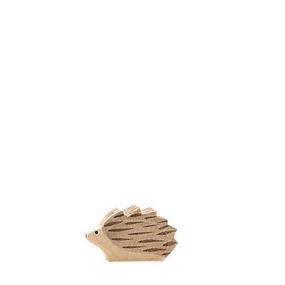 Ostheimer Hedgehog, Small Tiny thinkers