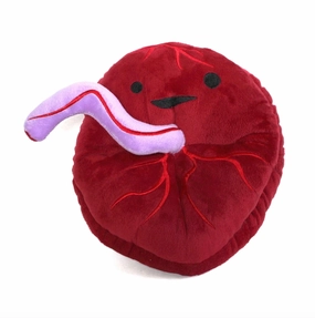 Home learning tools Fun-based learning Placenta Plush