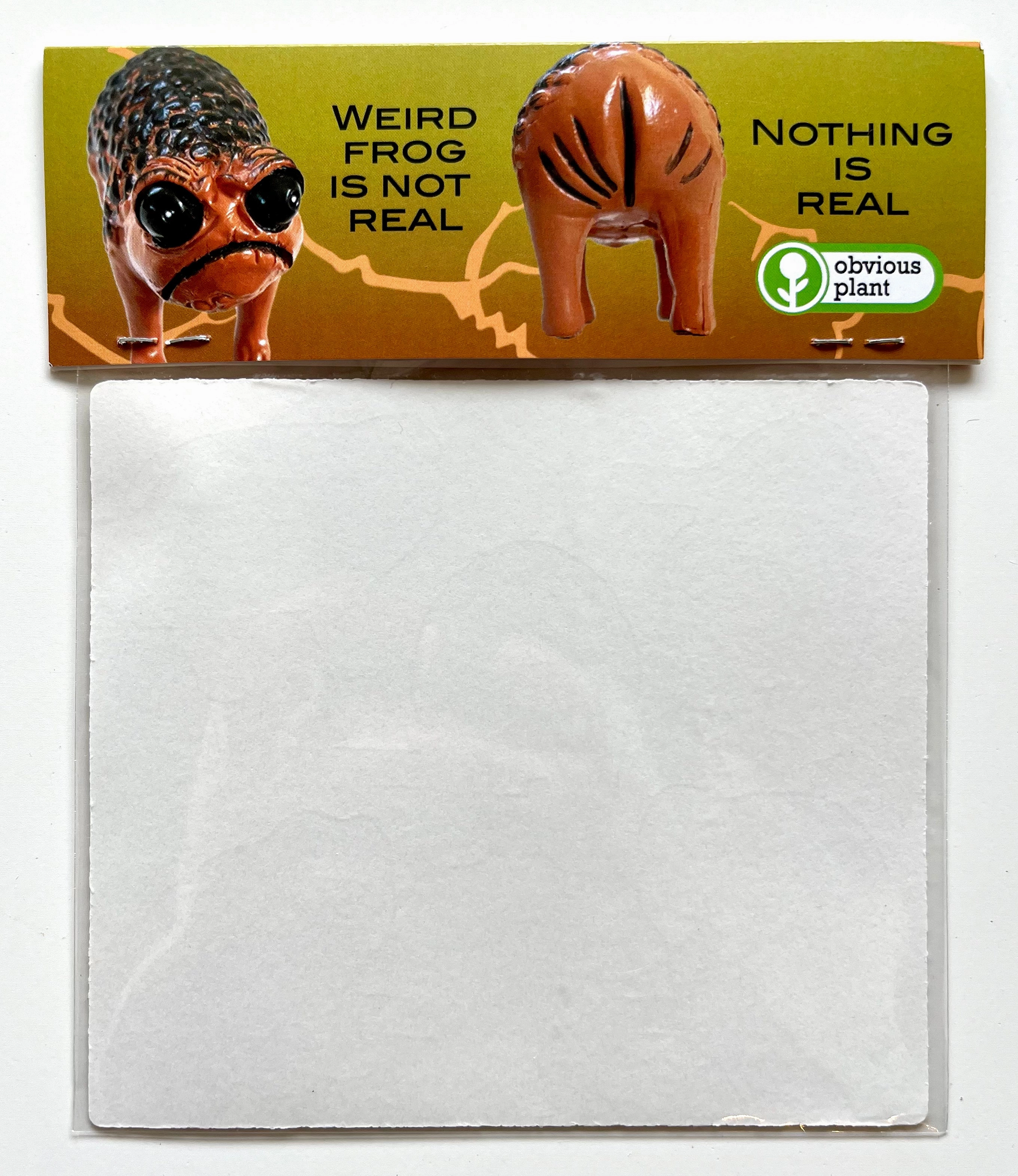 Weird Frog Sticker Pack Little adventures Joyful learning