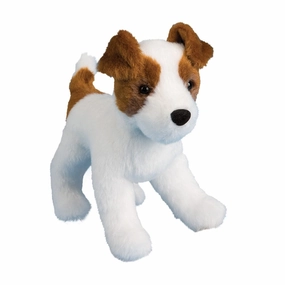 Feisty Jack Russell Enrichment activities